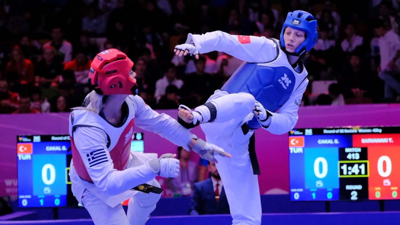 Dünya Tekvando Şampiyonası