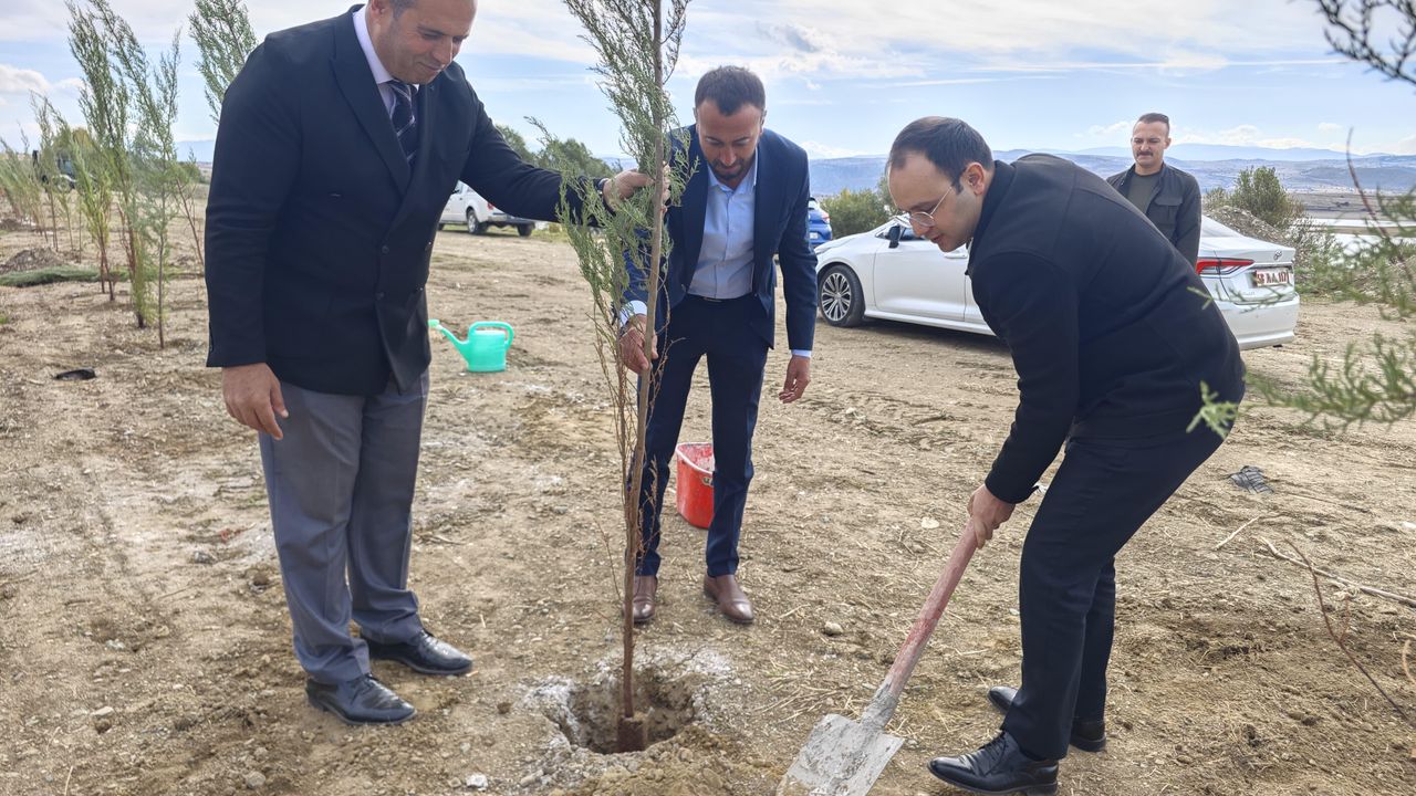 Gölova'da yürüyüş yolu yapılıyor