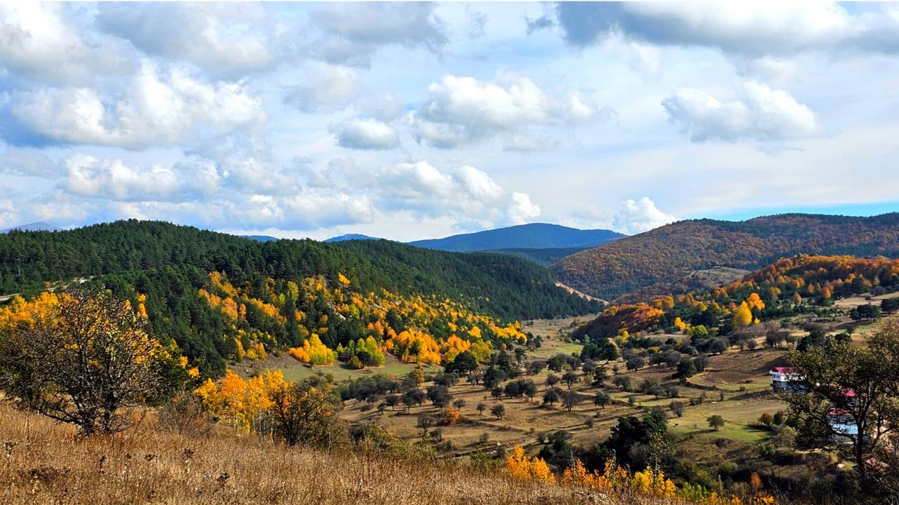 Koyulhisar'da sonbahar güzelliği yaşanıyor