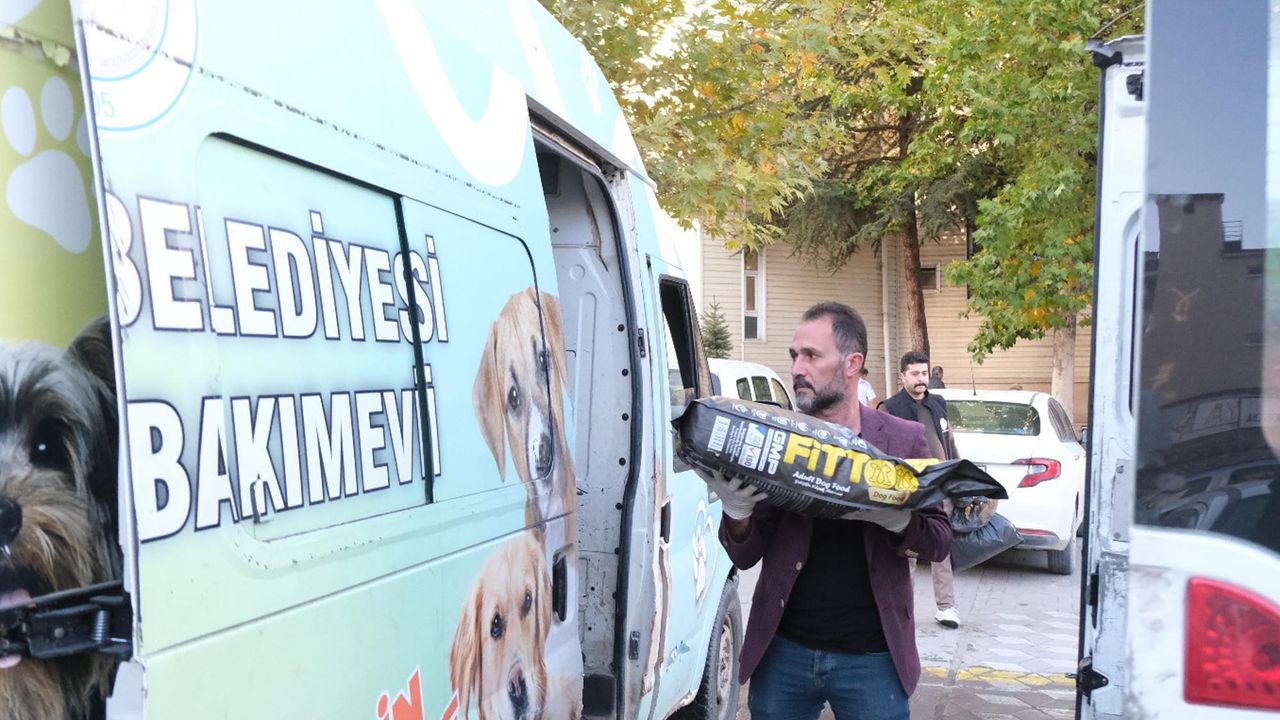 Sorgun'da atık yağlarla köpek maması alınıyor