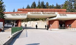 Anadolu Üniversitesi en iyi 500'de