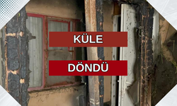 Eskişehir'de samanlık yangını