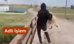 Köpeği suya atan şahıs yakalandı