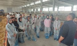 Aksaray'da veteriner teknikerliği öğrencileri uygulamalı eğitim aldı