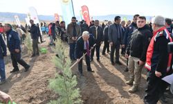 Büyükşehir Belediyesi, 6 yılda 750 bin fidanı toprakla buluşturdu
