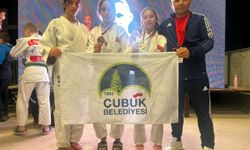Çubuklu sporculardan Slovenya'da 1'i altın 3 madalya