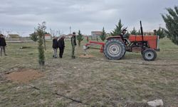 Eskil Belediyesinden yeşil bir gelecek için ağaç dikim etkinliği