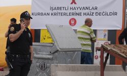 GÜNCELLEME - Başkentte kurbanlık pazarında güvenlik güçlerine sopayla saldıran 12 şüpheli gözaltına alındı