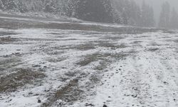 Ilgaz Dağı eteklerine kar yağdı