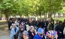 Kayseri'de üreticilere 550 bin organik domates fidesi dağıtıldı