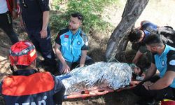 Kırşehir'de "Arazide Kayıp Arama Tatbikatı" yapıldı