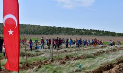 Kırşehir'de fidanlar toprakla buluştu