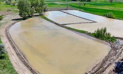 Kızılcahamam’da çeltik ekimi yapıldı
