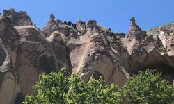 Nevşehir'de sıcak hava balonu zorunlu iniş yaptı