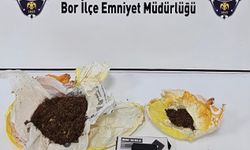 Niğde'de 2 firari hükümlü yakalandı