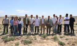 NÖHÜ'de yöresel yedi üzüm çeşidi toprakla buluşturuldu