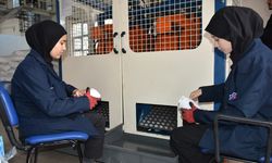 Plastik sektörüne katkı sağlayan meslek liseliler para da kazanıyor