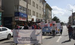 Şarkışla'da farkındalık yürüyüşü düzenledi