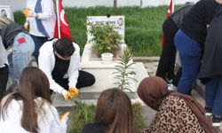 Şarkışla'da üniversite öğrencileri şehitliği temizledi