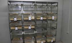 Yozgat Bozok Üniversitesinde Deneysel Araştırmalar Merkezi açıldı