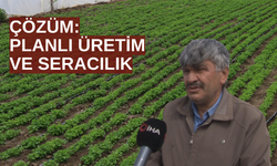 Yetersiz yağışlar fiyatları etkiledi