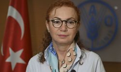 FAO'ya göre, her yıl 600 milyon kişi gıda kaynaklı hastalıklarla savaşıyor