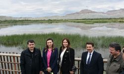 Nallıhan Kuş Cenneti "8. Foto Safari" başladı