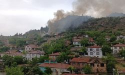 Nallıhan'da çıkan yangında iki ev hasar gördü