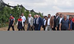 TBMM Zirai Don Olayını Araştırma Komisyonu üyeleri, Karaman'da elma bahçelerini inceledi