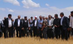 TZOB Genel Başkanı Bayraktar, Çankırı'da kuraklıktan ve dondan etkilenen tarım arazilerini gezdi