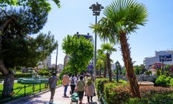 Köprübaşı Palmiyeler Ve  Zakkumlarla Süslendi