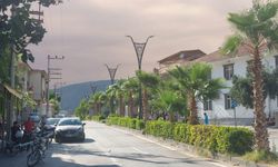 Bilecik'teki orman yangınının dumanı Eskişehir'e ulaştı