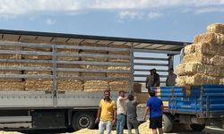 Çankırı'dan Karabük'teki yangından etkilenen çiftçilere yem desteği