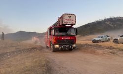 Eskişehir'de çıkan orman yangını Afyonkarahisar'a sıçradı
