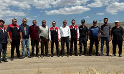Gemerek'te buğday hasadı başladı