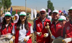 Gönüllü gençler hasat için tarım alanlarında