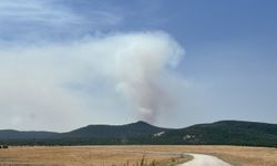 GÜNCELLEME - Eskişehir'de ormanlık alanda çıkan yangına müdahale ediliyor