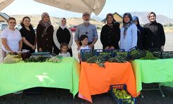 Kocasinan'da kadın girişimcilerin ürettiği organik ürünlerin hasadı yapıldı
