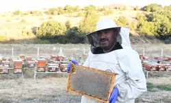 Pursaklar Belediyesinin 300 kovanda ürettiği balın hasadına başlandı