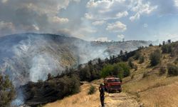 Sivas'ta çıkan yangında 5 ev kullanılamaz hale geldi