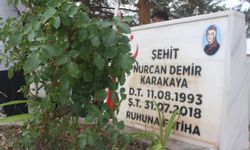 Teröristlerin katlettiği şehit Bedirhan bebek ve annesi Sivas'ta anıldı