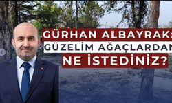 Albayrak'tan dikkat çeken açıklama