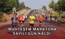 Spor Festivali'ne sayılı gün