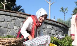 Aile ve Sosyal Hizmetler Bakanı Göktaş, Rize'de 63 yıllık evli olan Kanbur çiftinin misafiri oldu