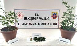 Eskişehir'de evinin balkonunda Hint keneviri yetiştirdiği iddia edilen şüpheli yakalandı