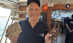 GRAFİKLİ - Siyah ve taş mercanlar deniz ekosistemi için kritik önemde