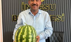 İncesu'da karpuz hasadı devam ediyor