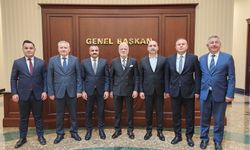 Kayseri Jeotermal Sera Organize Tarım Bölgesi Projesi yatırım programına alındı