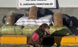 Kayseri'de yolcu otobüsünde 230 kilogram kaçak tütün ele geçirildi