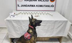 Kırşehir'de düzenlenen uyuşturucu operasyonunda 1823 sentetik hap ele geçirildi